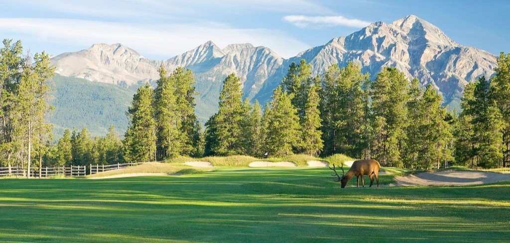 Scoregolf top 59 alberta jasper