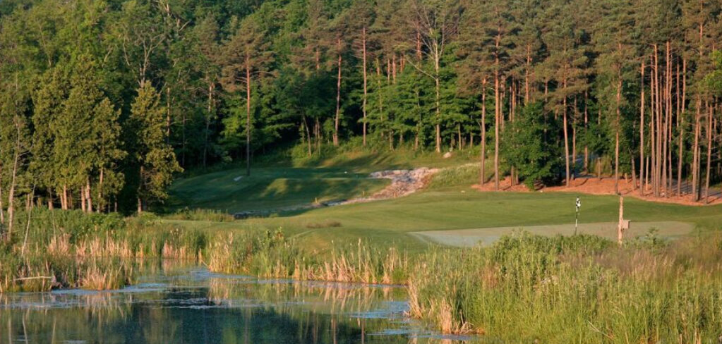 ScoreGOLF top 59 ontario black bear